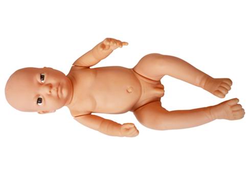 高級出生嬰兒模型