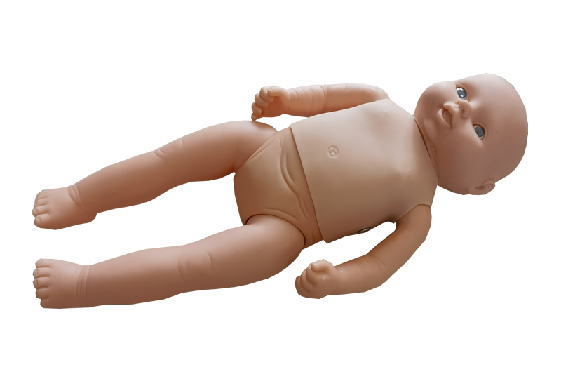 新生兒生長指標(biāo)評定及護(hù)理訓(xùn)練模型